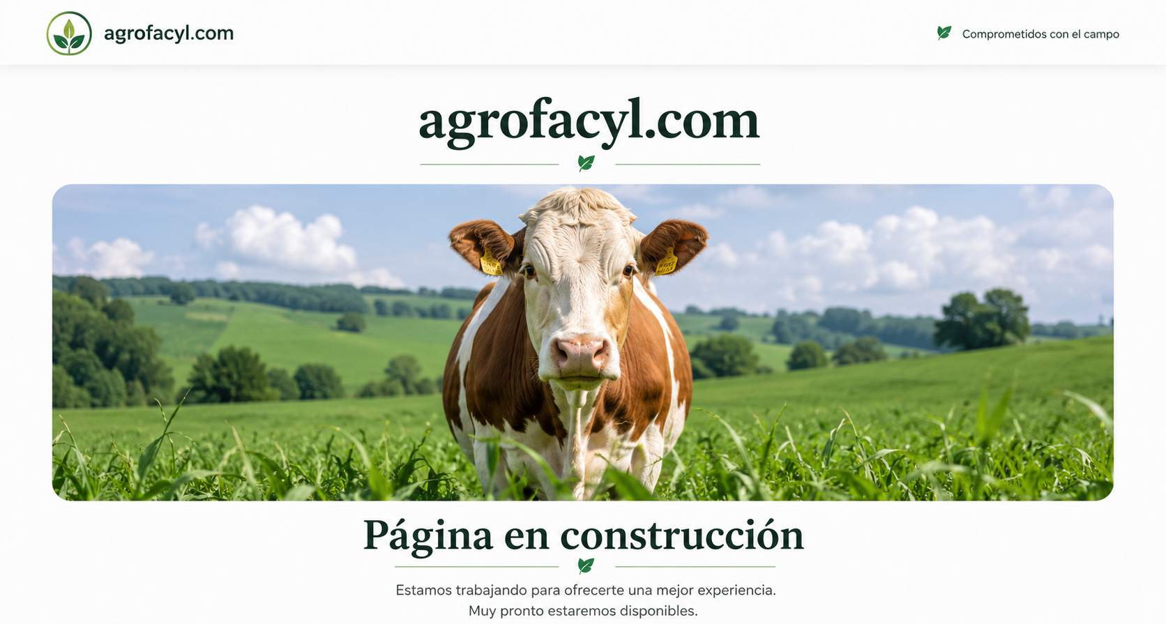 agrofacyl.com - Página en construcción